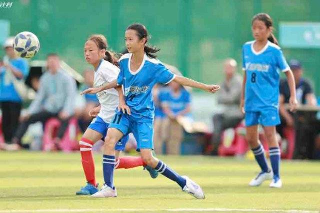 CBA常规赛：辽宁主场收官战不敌浙江